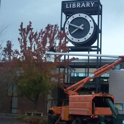 Tree pruning at the county library.