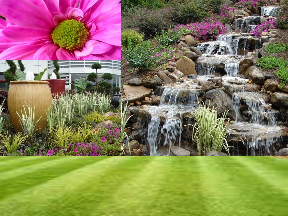 Make Allin Lawn Care your number one choice when c