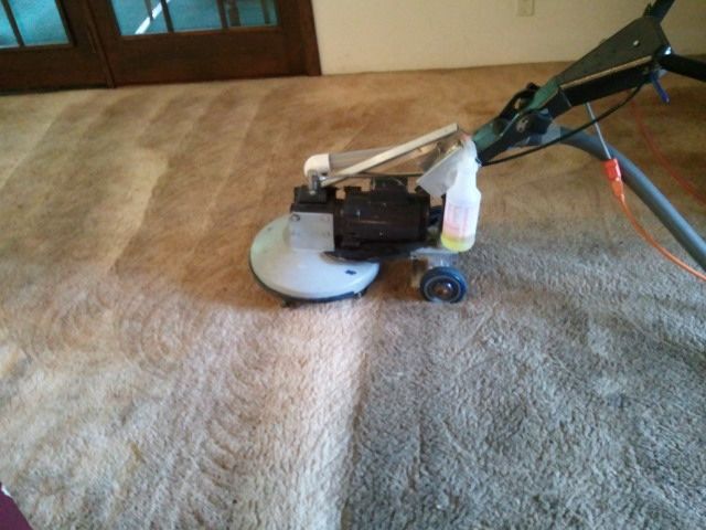 Absolute Carpet Cleaning