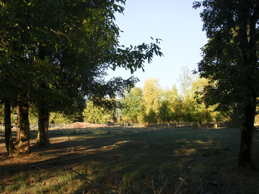 Each paddock has it's own unique characteristics