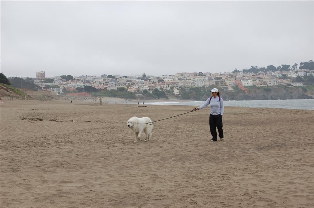 Beach walks