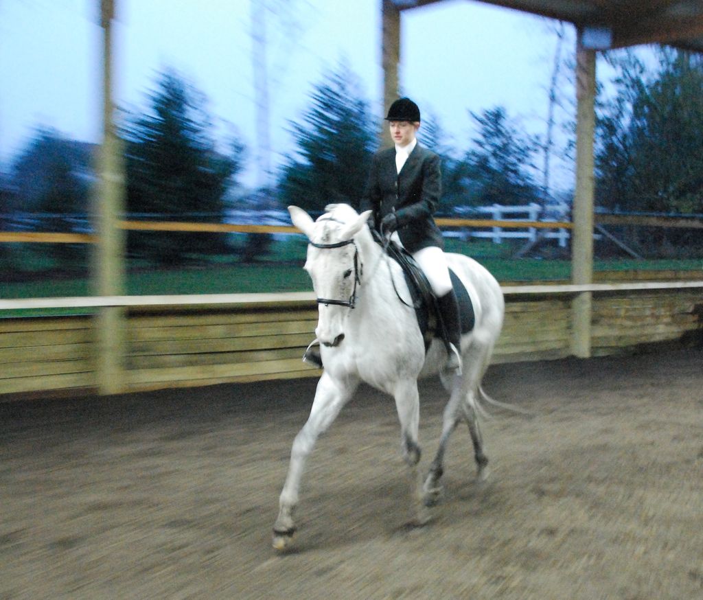 Rebekah and her horse, Sarina Van De Oosterwalle.
