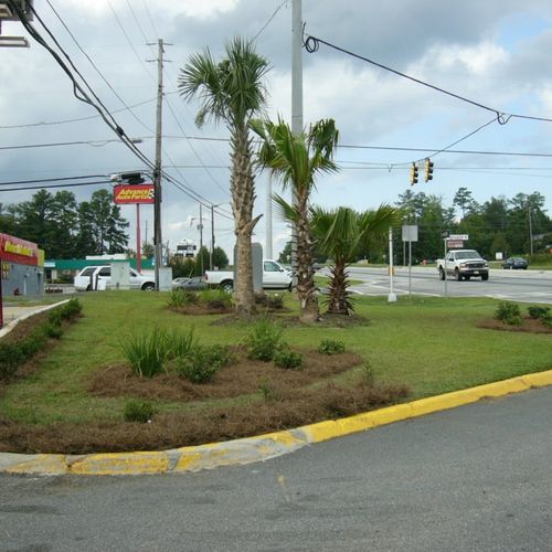 Palm trees standing tall at a local convenience st