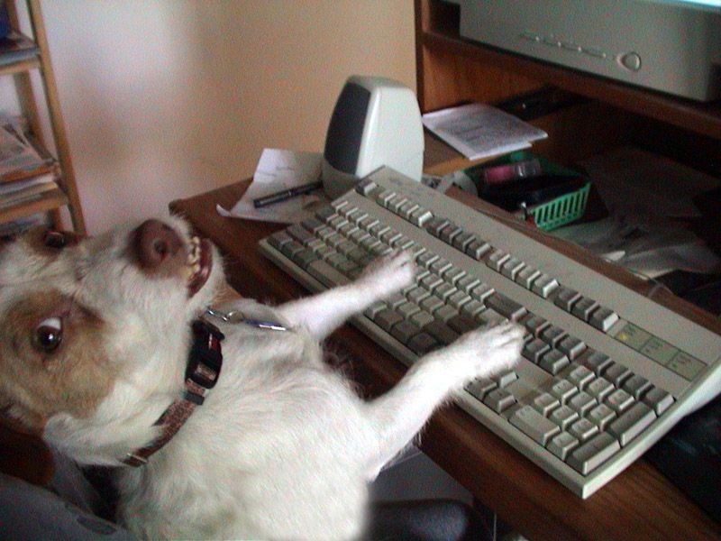 Our editor at work
