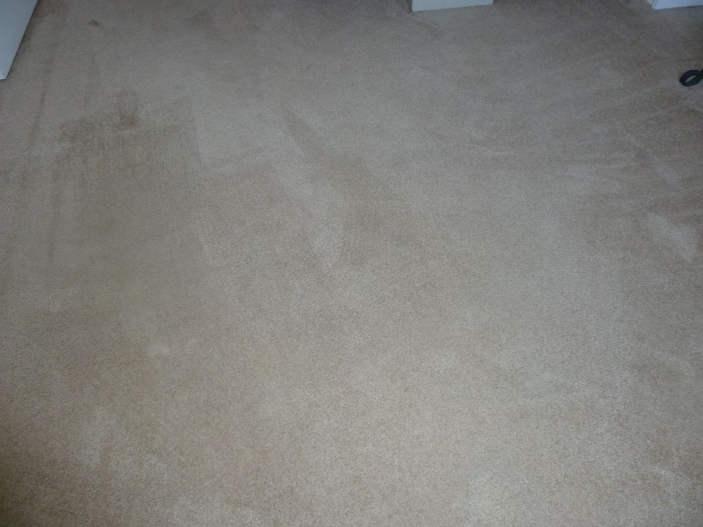 Ameri-Vets Carpet Cleaning