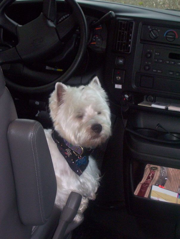 Mac says, "Now can we go for a ride?"