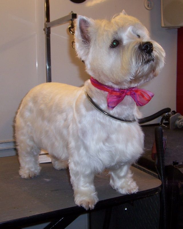 Mac proud of another grooming