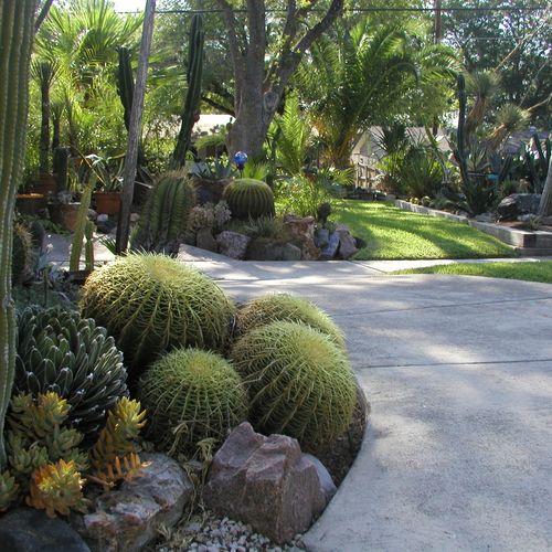 this is a garden at the end of a driveway.......bl