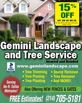 Gemini Landscape and Tree Service