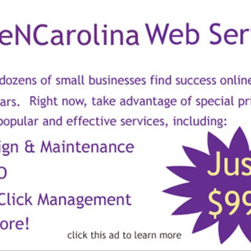 We offer a range of professional web marketing ser