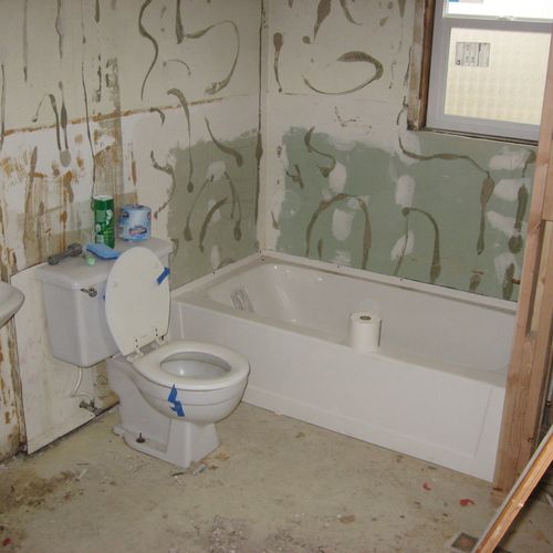 Bathroom remodel in March 2010