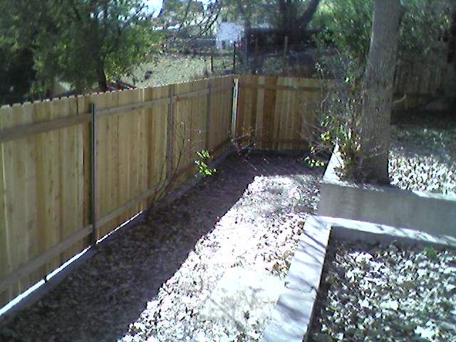 New fence using steel postmaster posts