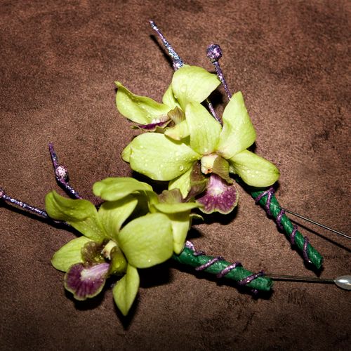 green dendrobium orchid boutonniere