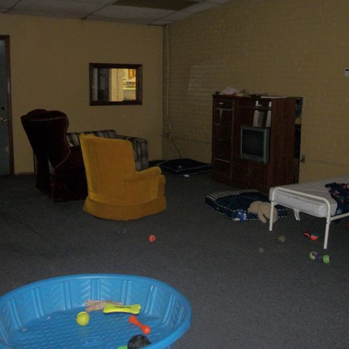 Doggie Day Care play room with TV corner
