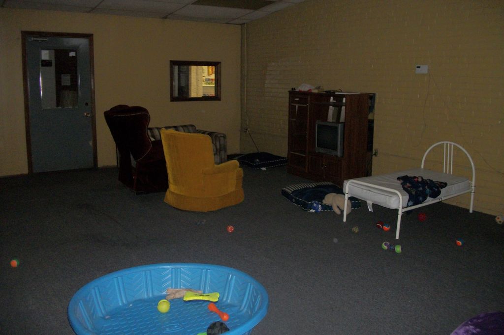 Doggie Day Care play room with TV corner