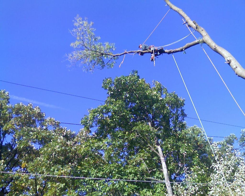 Reaching out to tie the rope.