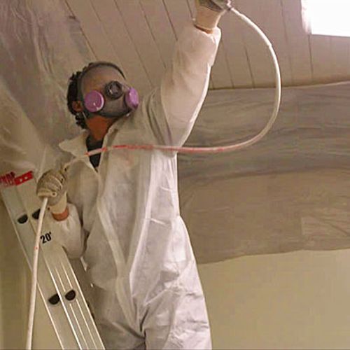 We are San Diego mold removal experts. We have fri