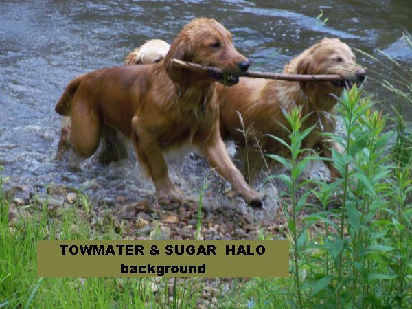 The kids love it when we go to the fields and the 