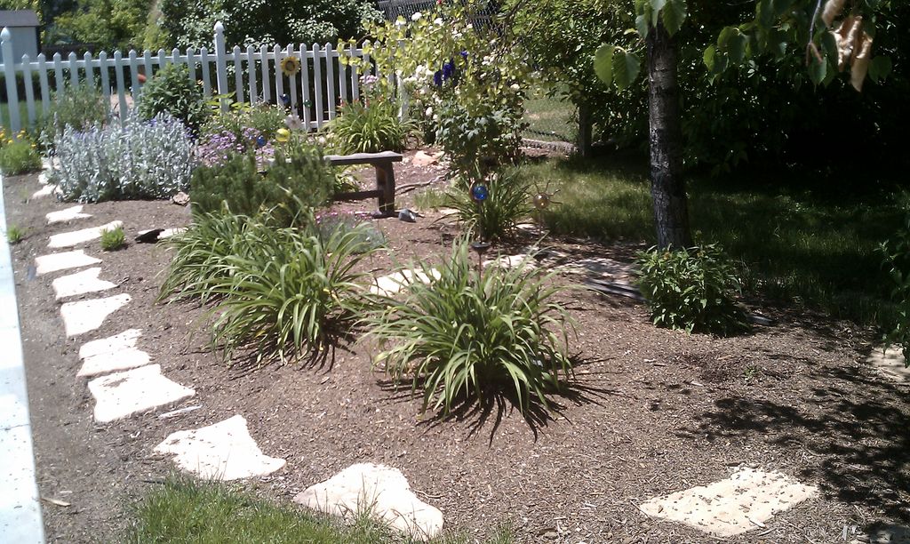 xeriscape