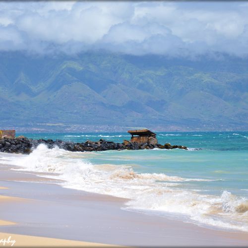 Maui- Image Copyright of Queen B. Photography