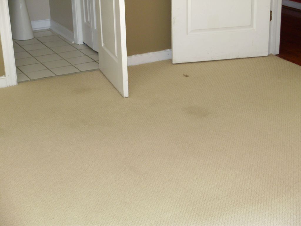 Carpet "BEFORE"