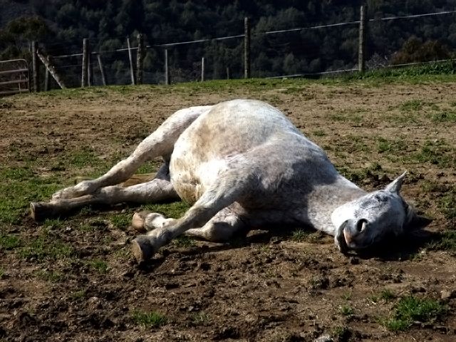 Eagles Nest Ranch