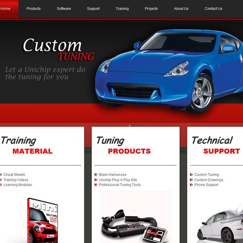 Professional Website Designs