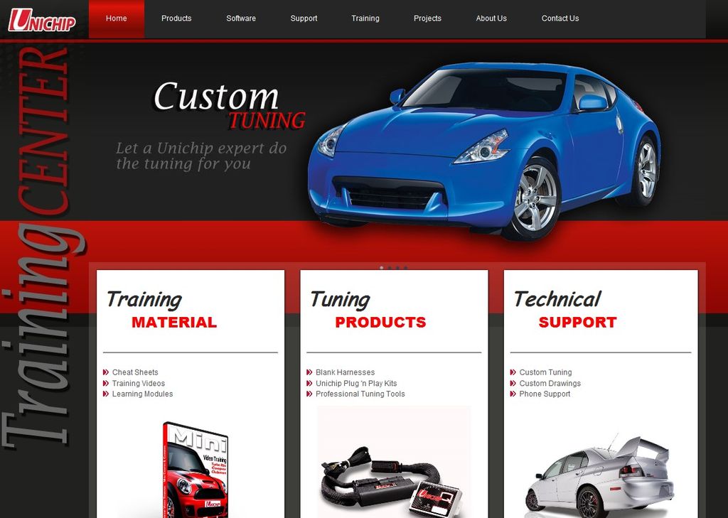 Professional Website Designs