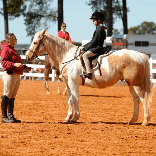 Allison talking with a student at a horse show
