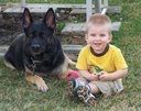 Behave! Dog Training & Behavioral Modification