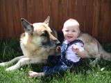 Let us help you introduce your new baby to your ol