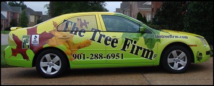 The Tree Firm, Inc.
