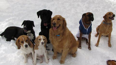 Field Trip! It's a Snow Day!