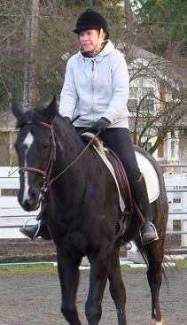 Highly trained Oldenberg Mare for lease also a sch