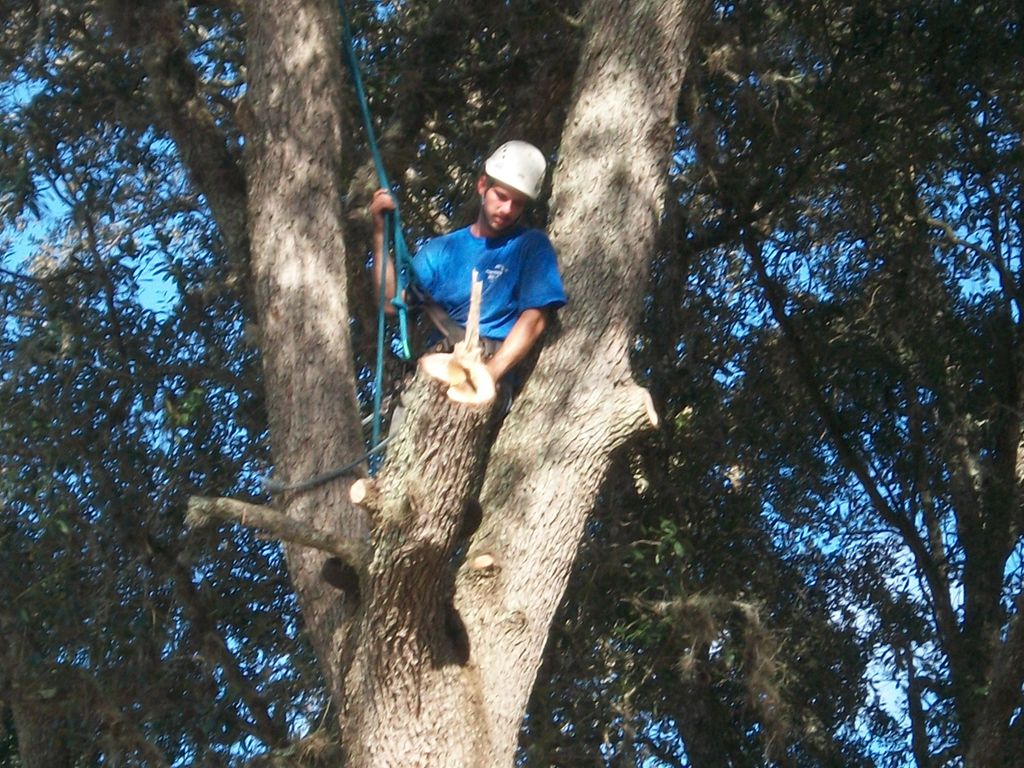 just hanging out.