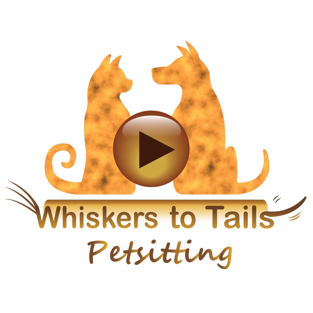 Whiskers to Tails Petsitting