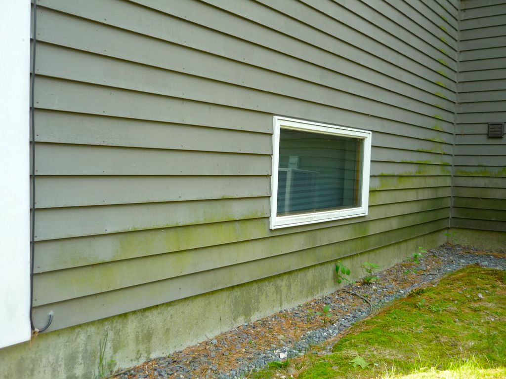 BEFORE you decide to paint, call us! We can safely