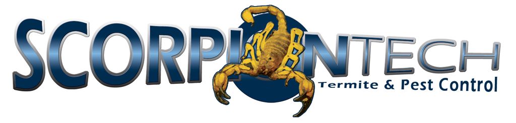 Call ScorpionTech today!