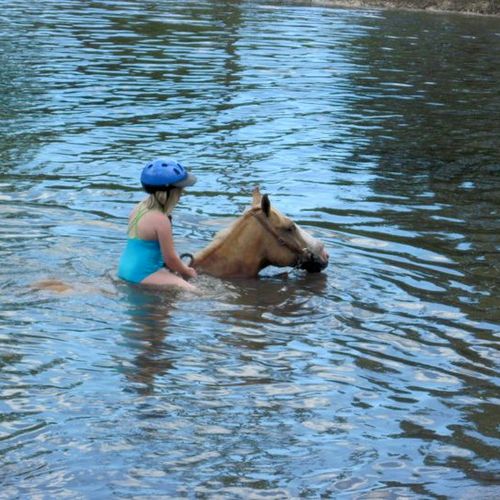 swim your horse in our lakes at camp