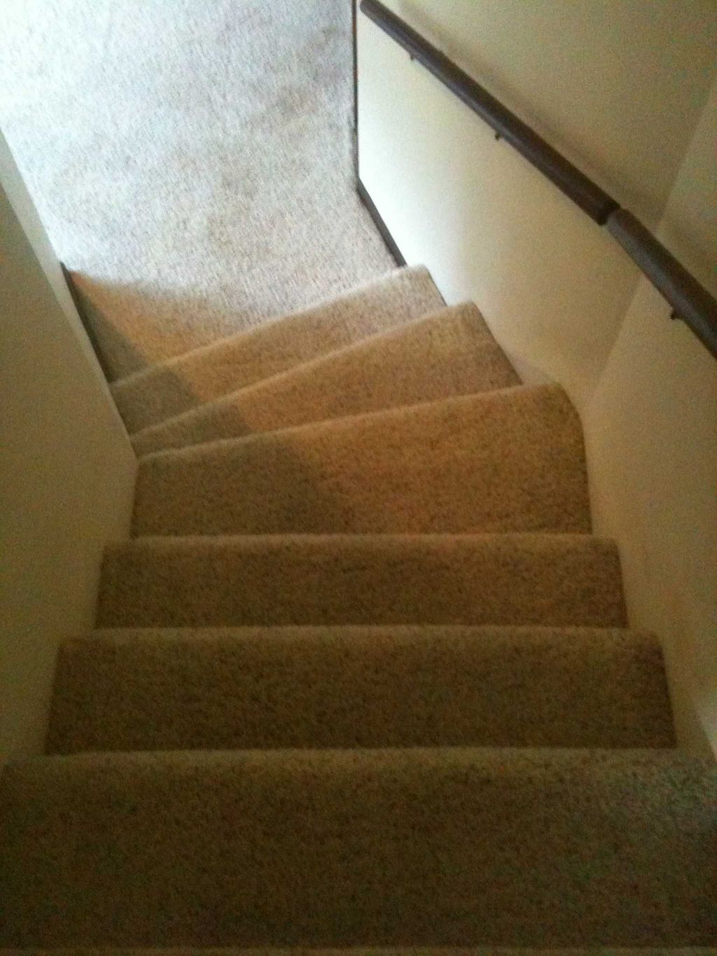 Carpet Cleaning (After)