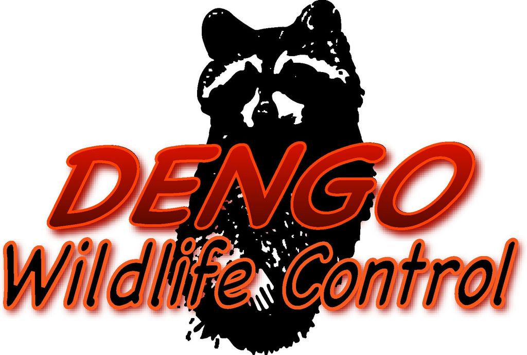 Dengo Wildlife Control