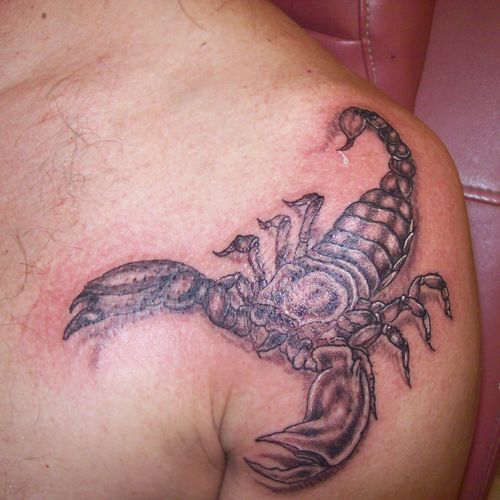 scorpion by Lenny Lash at Lenny Lash's Physical Gr