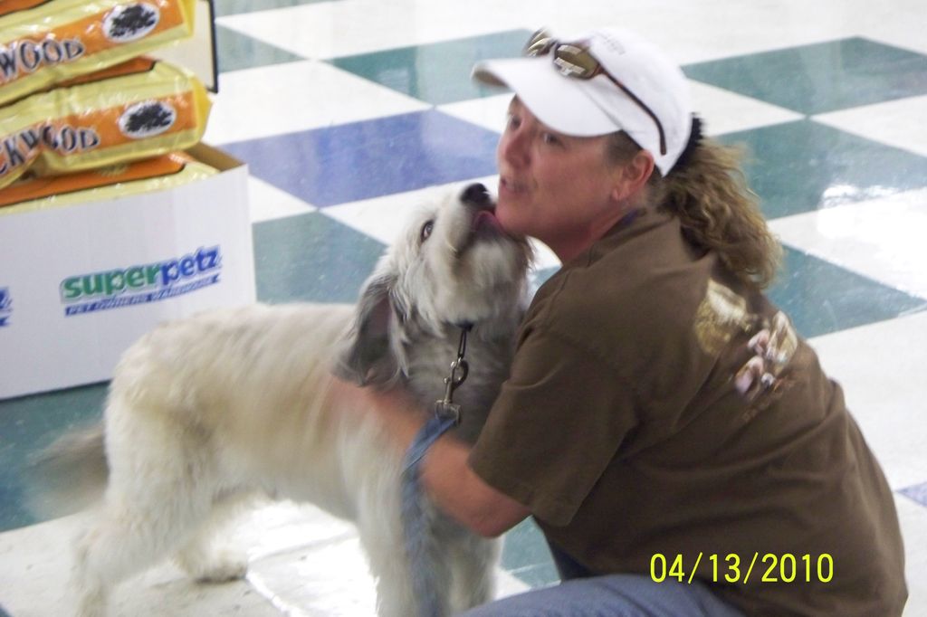 Lucky, a mixed breed rescued by his new loving fam