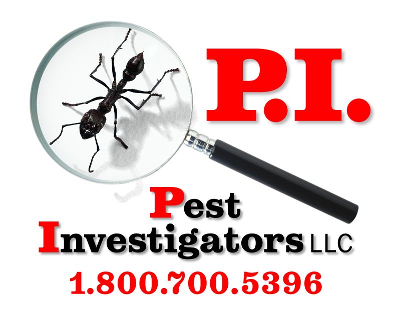 P.I. Pest Investigators LLC