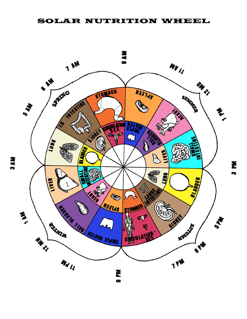 Solar Nutrition Wheel of Life and Health. 10,000 y