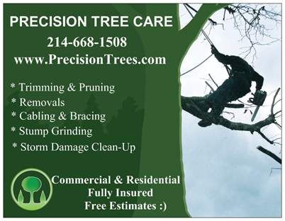 Precision Tree Care