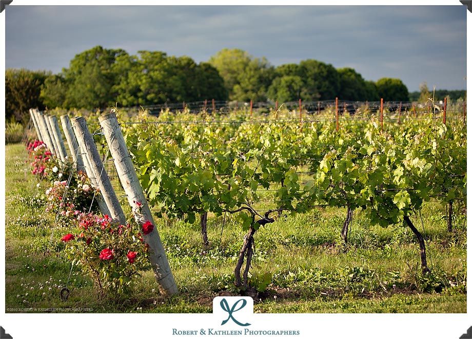 Saltwater Farms Vineyard, Stonington, CT where the
