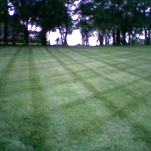 Professional Grass Cutting