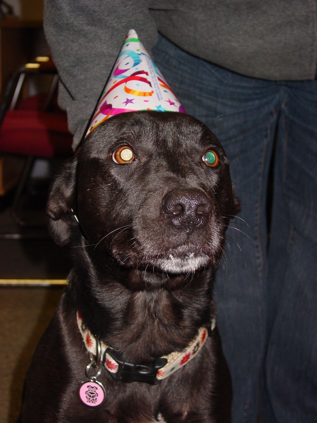 Jake is also having a good time