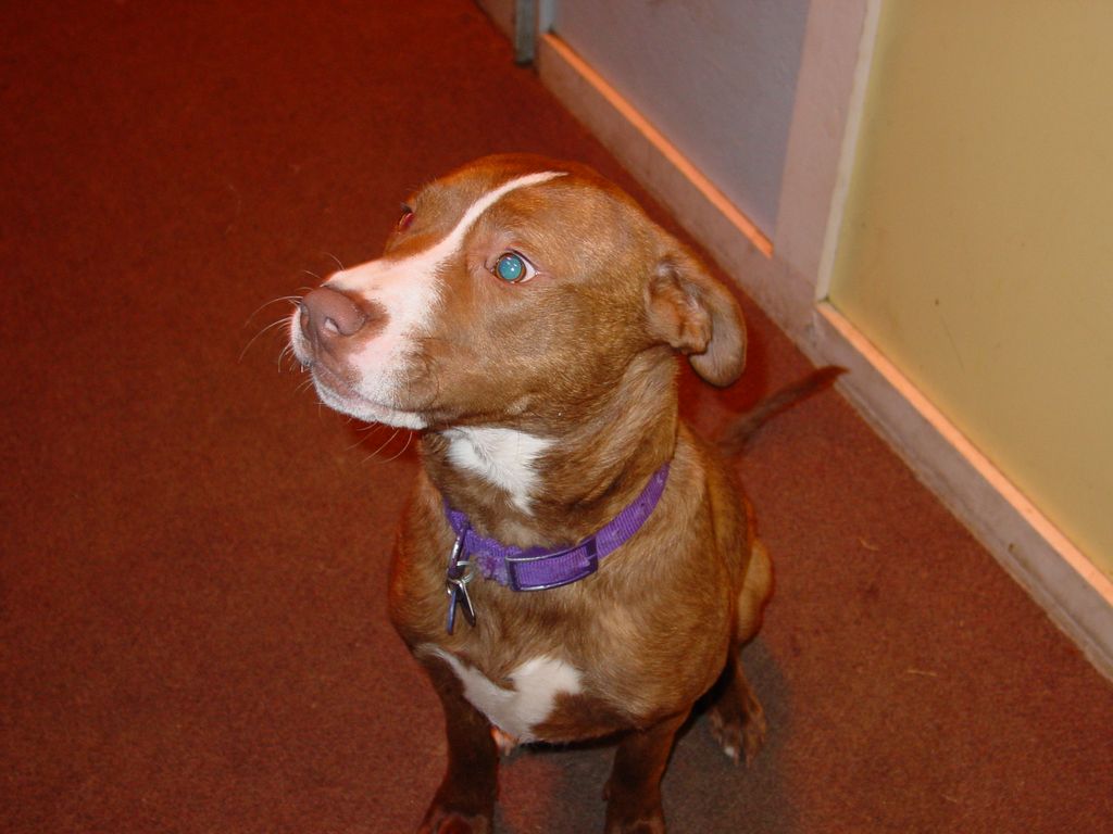 Ransom moking sure we get his good side.
